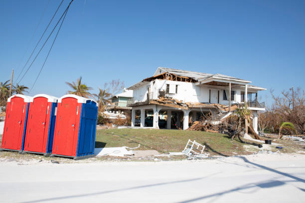 Best Tree Cabling and Bracing  in Lopezville, TX